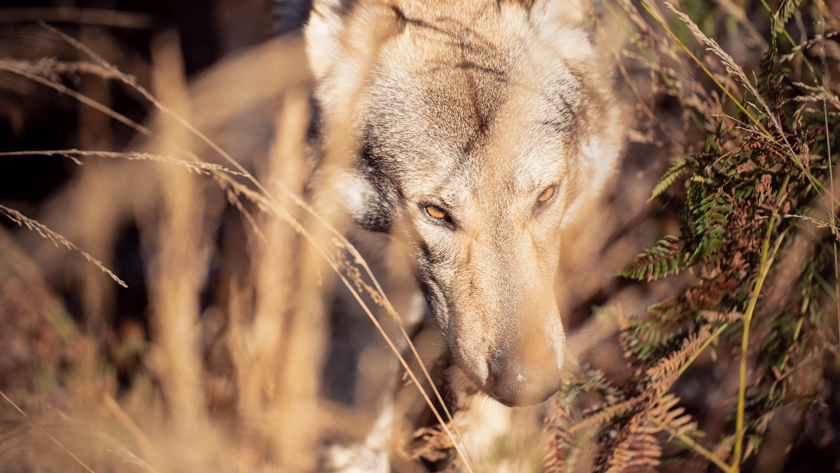 15 octobre 2023145709 Alexandre Lemarquis